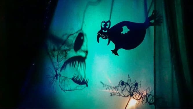 Llun: Silhouette Fish o berfformiad gan Theatr Odd Doll Credyd llun Fez